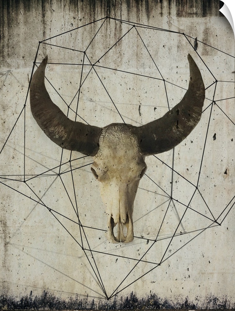 Painting of a bison skull with large dark horns, embellished with geometric lines on a grungy background.
