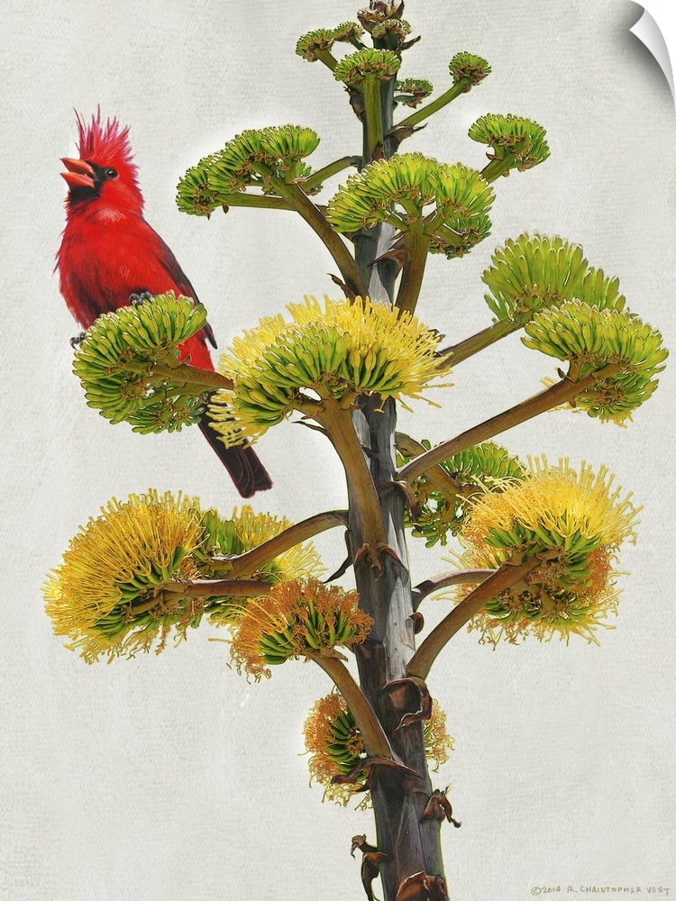 Contemporary artwork of a cardinal perched on a tree branch.