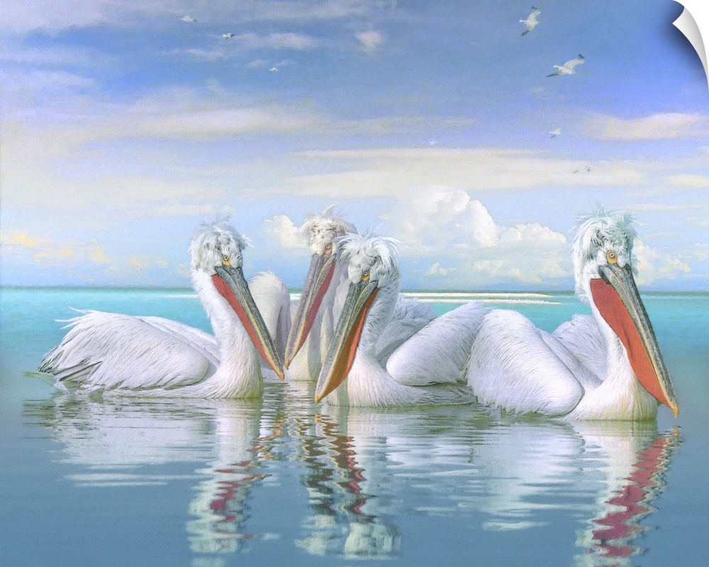 A painterly texturized image of three white pelicans basking in the warm ocean sunshine with sea gulls in the distance.