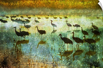 Cranes In Mist I