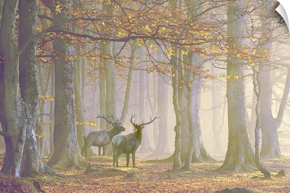 A watercolor rendition of two noble elks standing in a mysterious misty autumn forest.