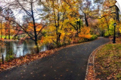 Fall Foliage Around Pathway