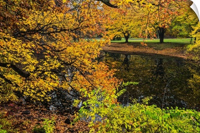 Fall Foliage by Lake I
