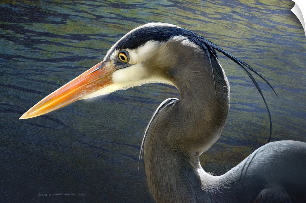 Contemporary artwork of a portrait of a heron.
