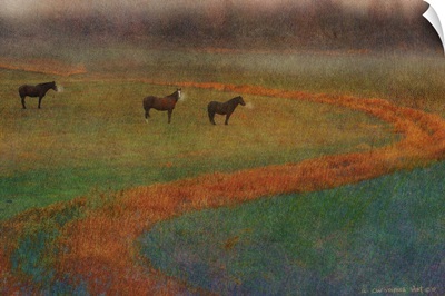 Horses In Rain