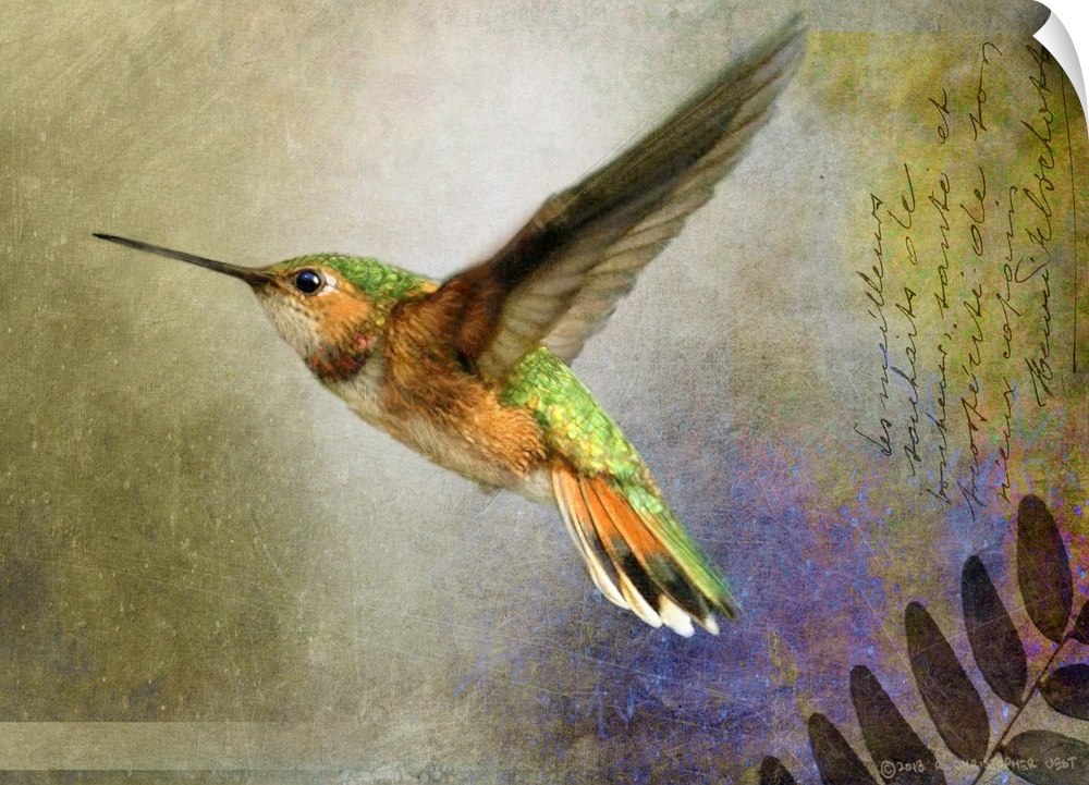 Contemporary artwork of a hummingbird in mid flight.