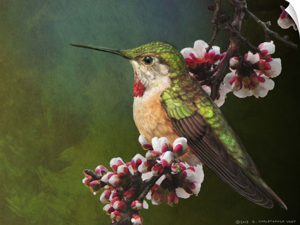 Contemporary artwork of a hummingbird perched on a tree branch.