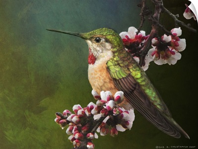 Hummer With Blossoms