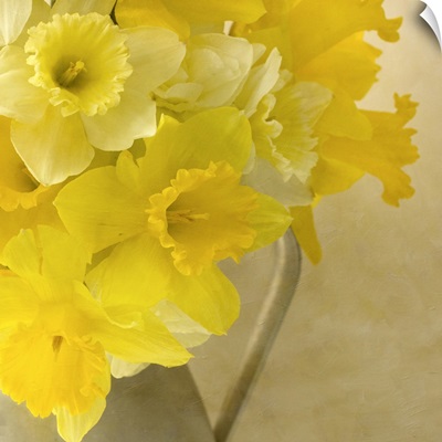 Jug of Daffodils