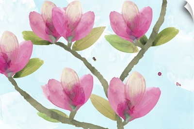 Pink Magnolia II