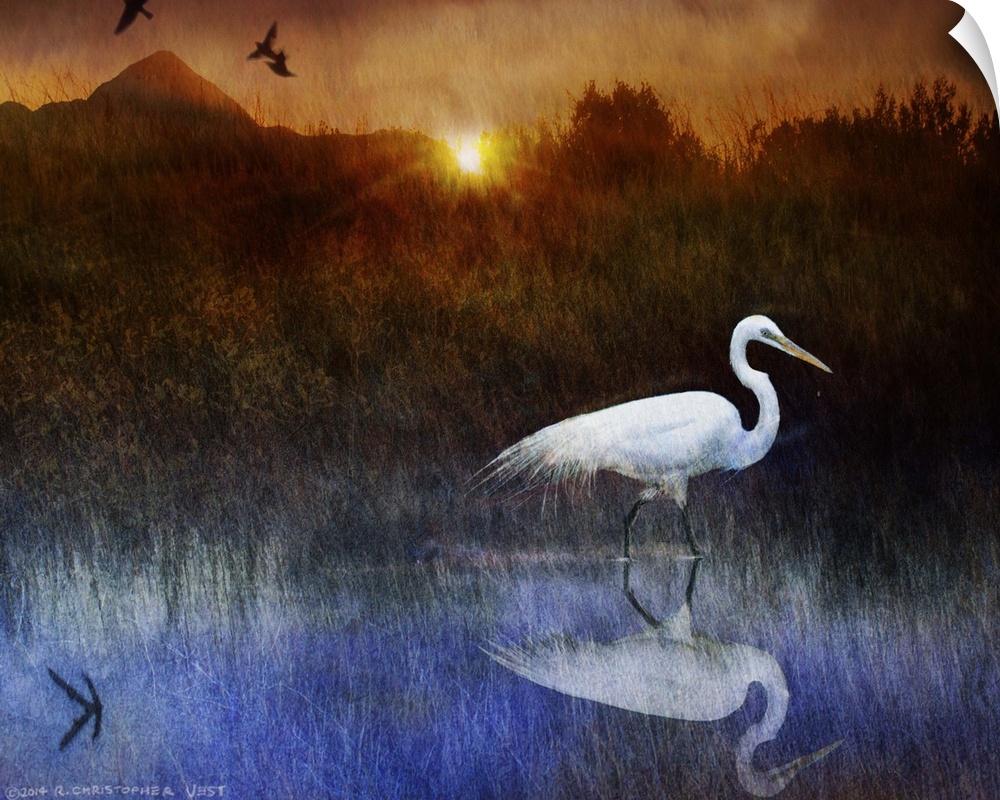 Contemporary artwork of a white egret standing in water sundown.