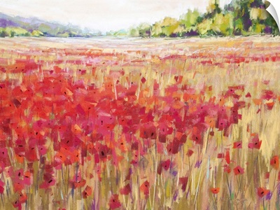 Poppies and Trees VI