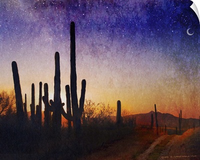 Saguaro Sunset Blue