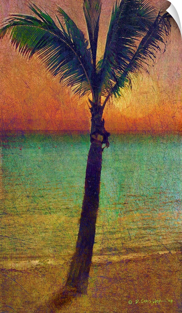 Seasons Of The Palm