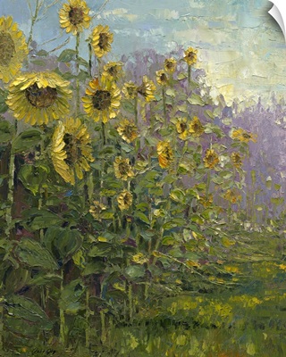 Sunflowers Sunrise