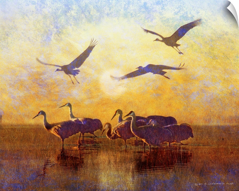 Contemporary artwork of silhouetted cranes standing in water.