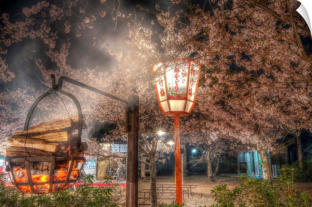 HDR photograph of a garden in Tokyo during the cherry blossom festival, Japan.