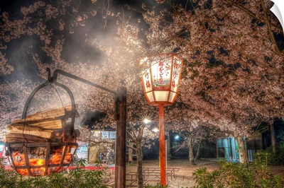 Tokyo Cherry Blossom Festival