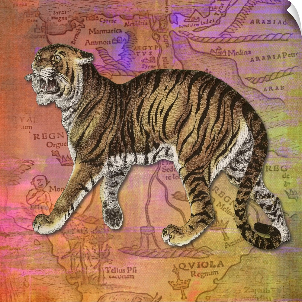 Colourful vintage effect mixed media Tiger print.