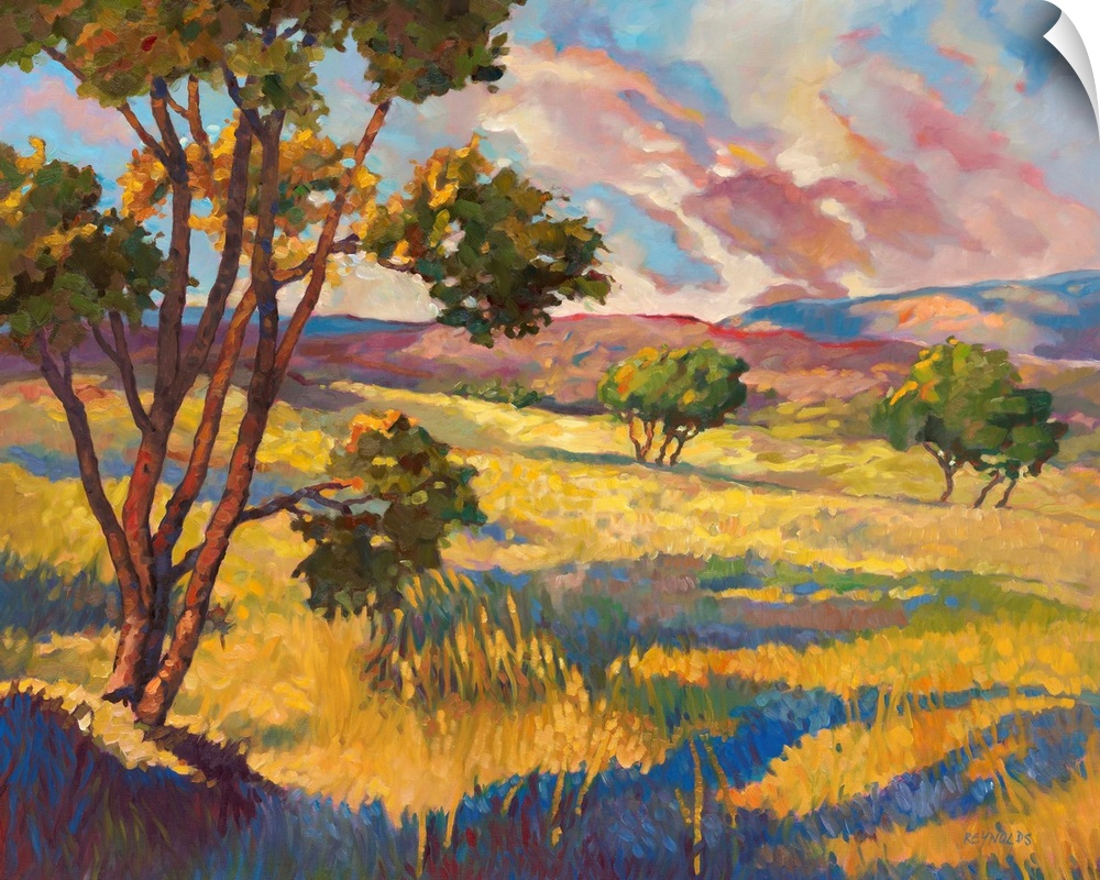 Contemporary landscape painting of trees in rolling yellow fields at sunset.