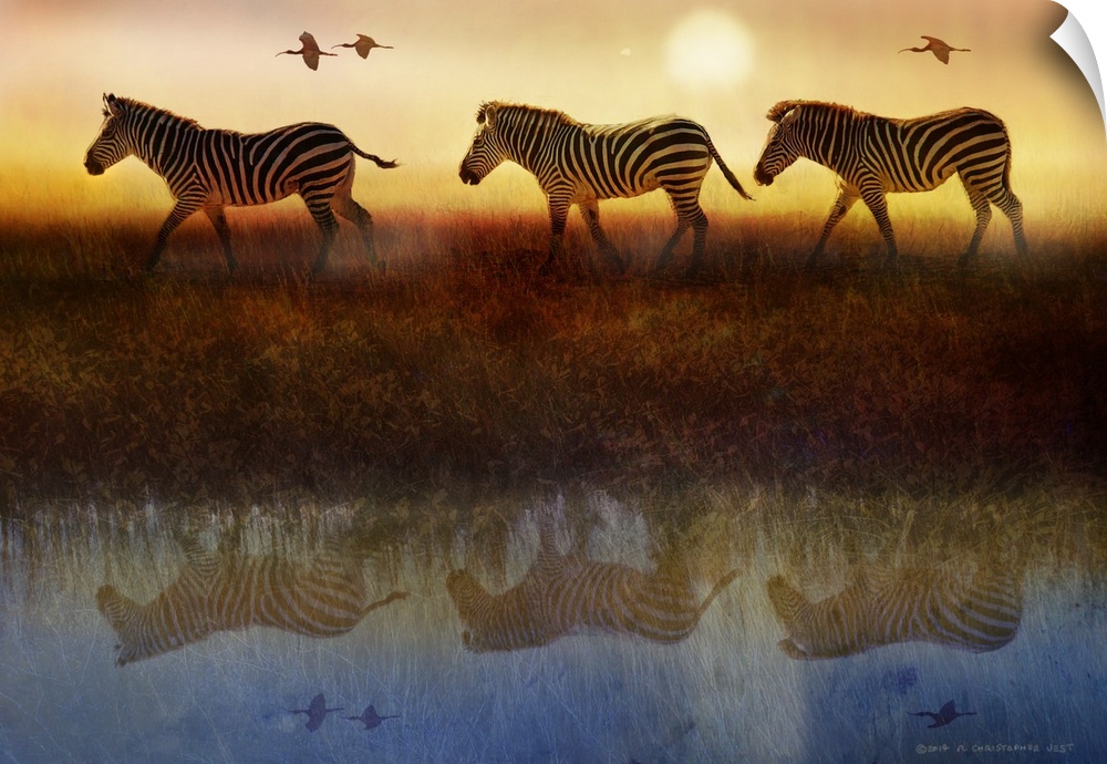 Contemporary artwork of three zebras walking single file through the Serengeti.