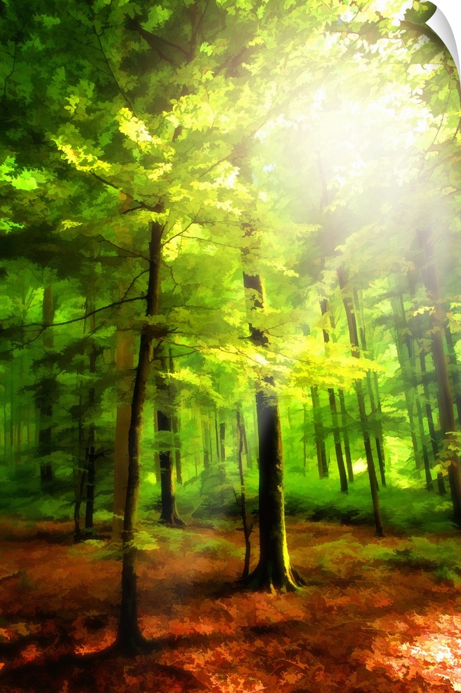 A vibrant colorful photograph of a forest with sunlight shining through the canopy.