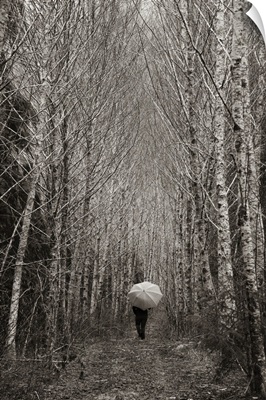 A Person Holding An Umbrella Goes For A Walk In The Forest, Washington