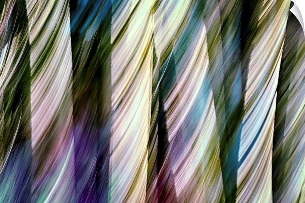 Abstract photo of a forest, shot with a long exposure to create shapes out of the sunlight through the trees.