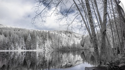 A Winter Landscape