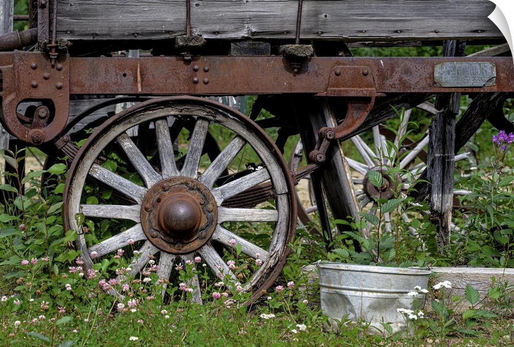 A contemplative photograph of an antique (1916) gold-rush era wagon blending into its natural surroundings.