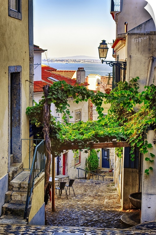 Cobblestone street with grapevine trellis, Alfama district, Lisbon, Portugal.