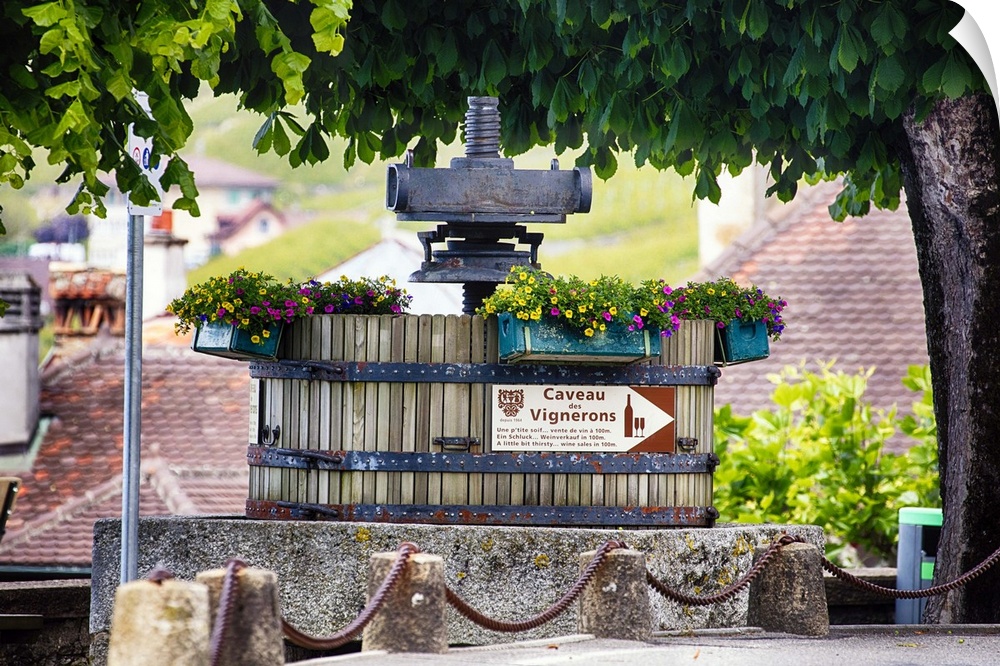 A photograph of a vintage grape press at a vineyard.