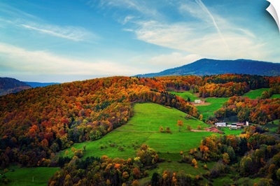Autumn Colors In The Vosges