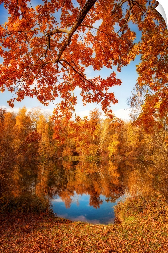 Autumn foliage along a pond