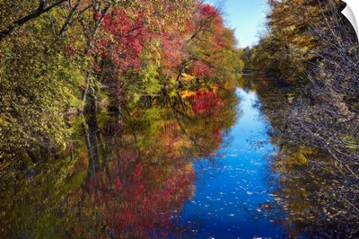 Autumn in Princeton II