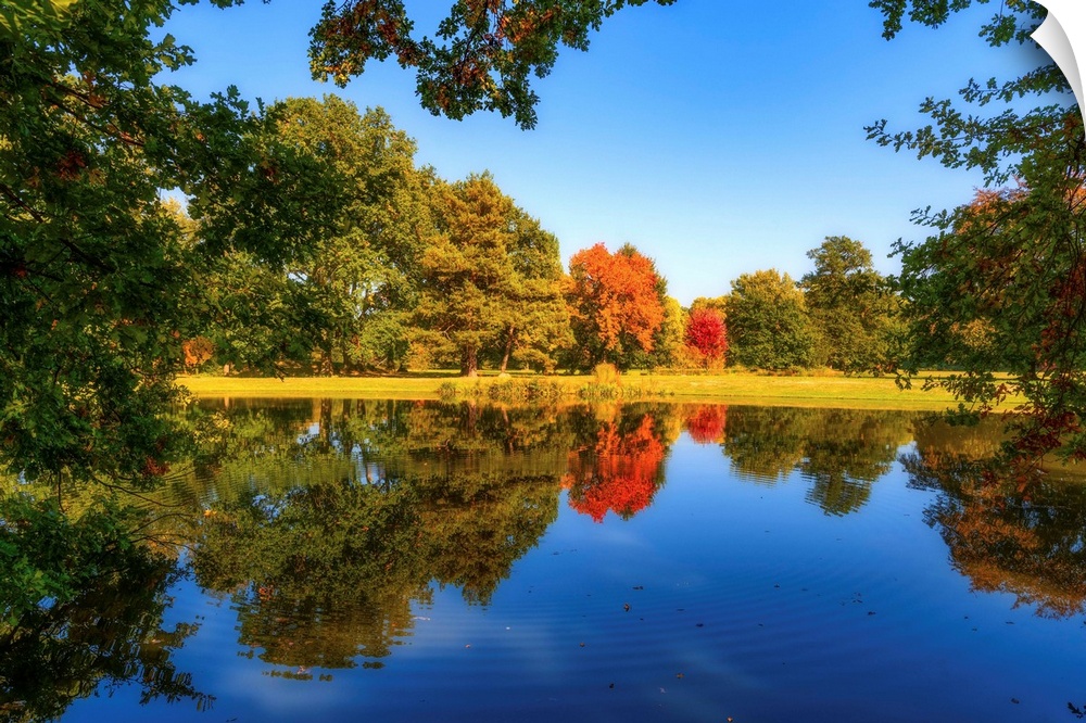 Nature in autumn around a pond