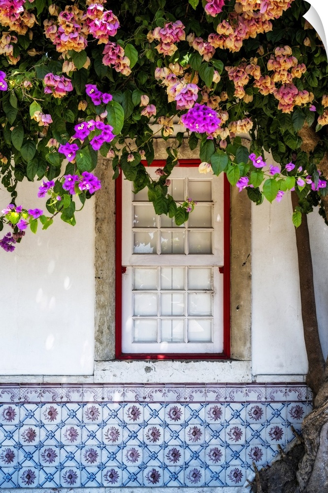 Window in old town Lisbon with azulejos and blossoming tree, Portugal.