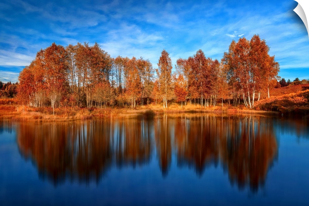 Bright orange trees reflected in the deep blue water of a lake.