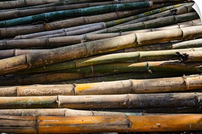 Bamboo Waiting