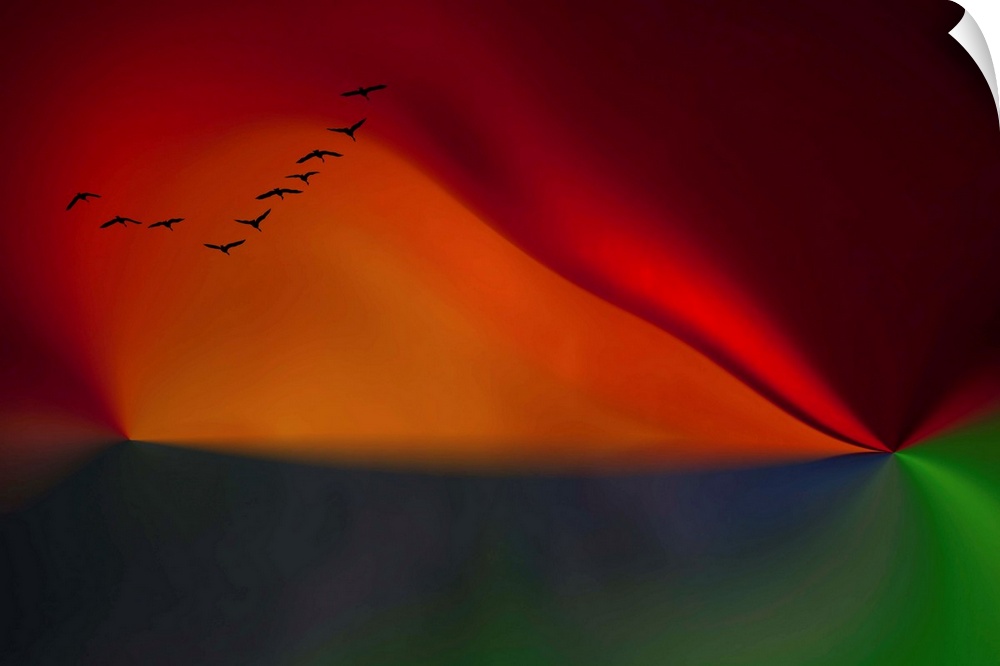 A flock of birds over an abstract image in red and green.
