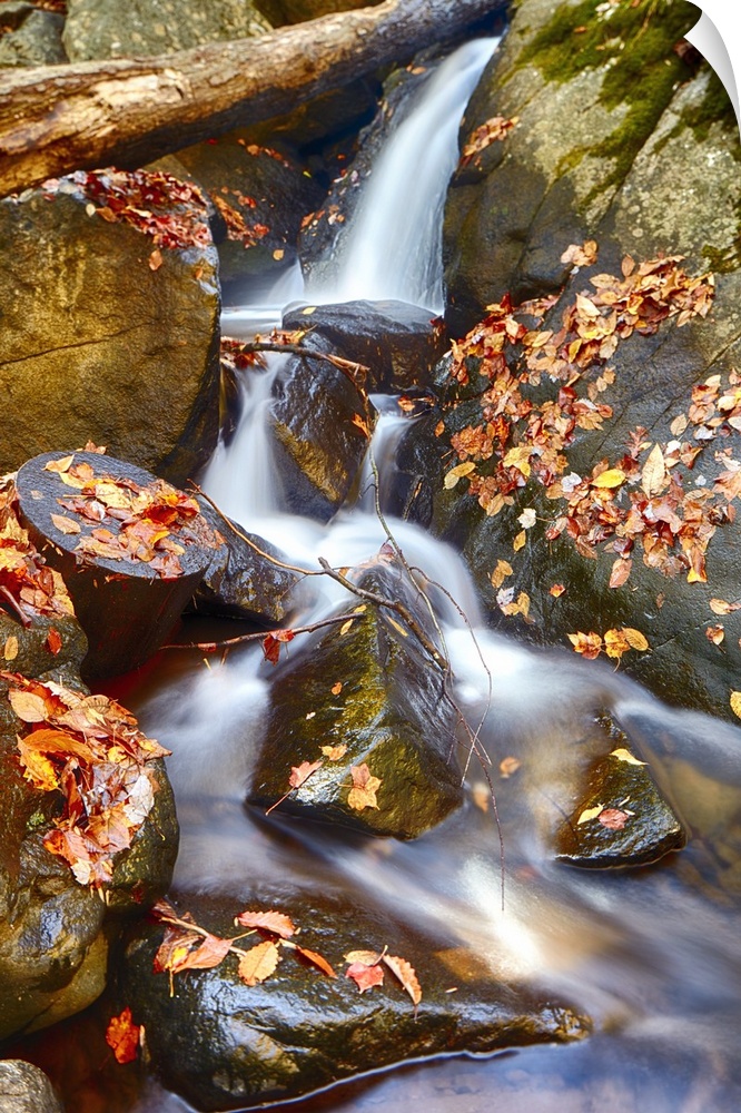 Water cascading over rocks covered in fallen autumn leaves.