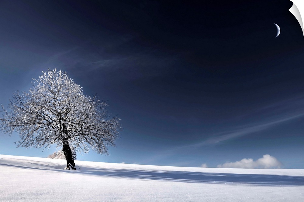 Snowy landscape with the moon