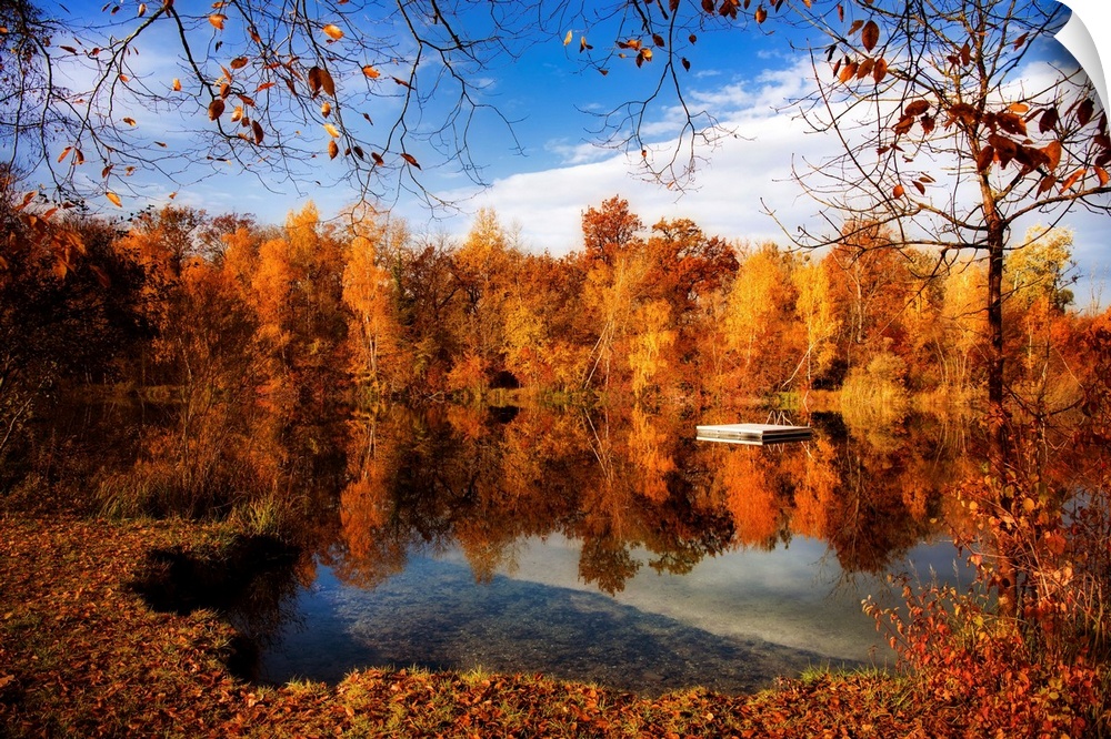 Autumn forest surrounding a lake