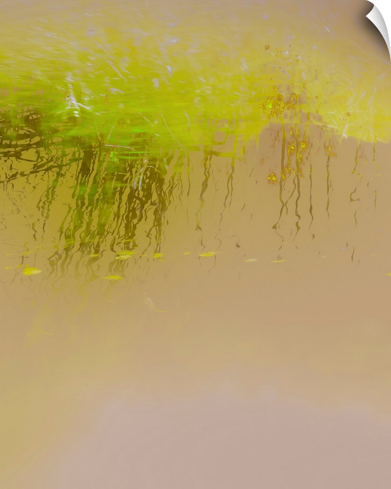 Abstract photograph of bright green reeds reflecting into golden lit water.