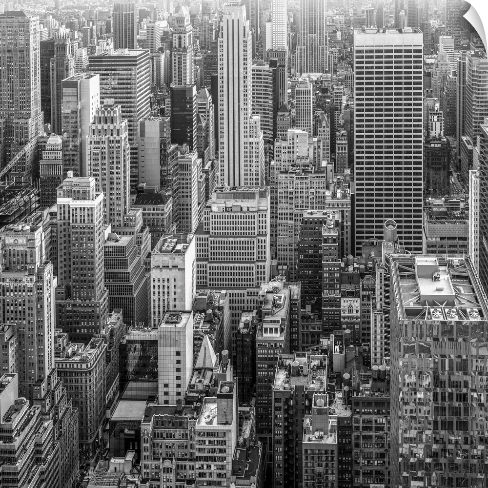 A glimpse of the skyscrapers of New York in black and white to give the image a dramatic flair.