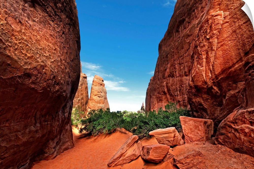 Red Canyon with blue sky in summer