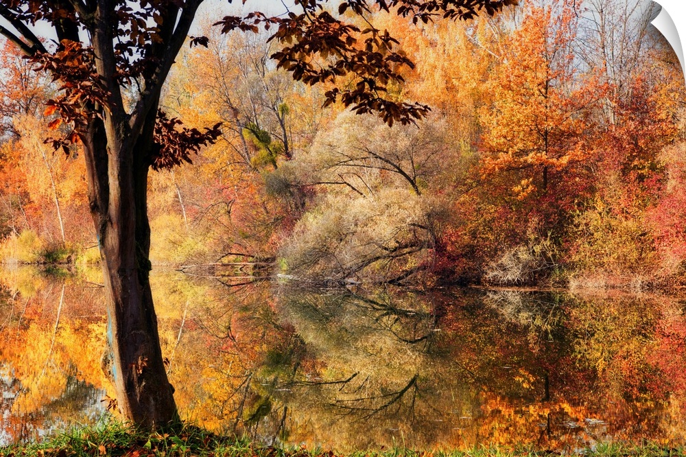 Autumn foliage surrounding a lake