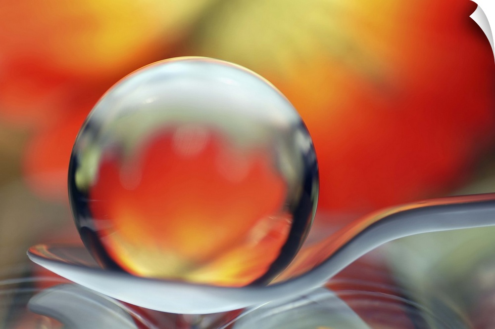 A macro photograph of a water droplet sitting
