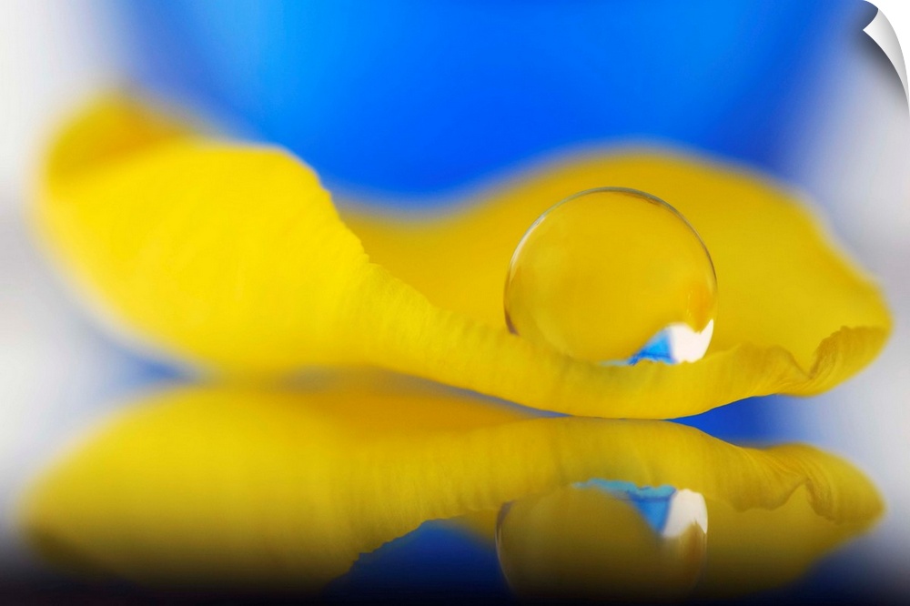 A macro photograph of a water droplet sitting on the edge of a petal of a yellow flower.