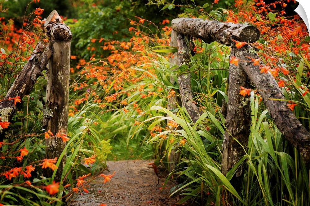 Fine art photo of a garden path with bright flowers and a wooden gate.